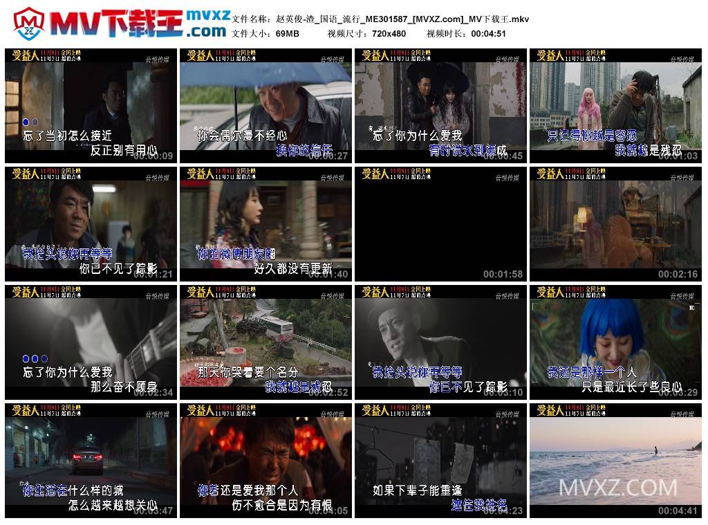 赵英俊-渣_国语_流行_ME301587